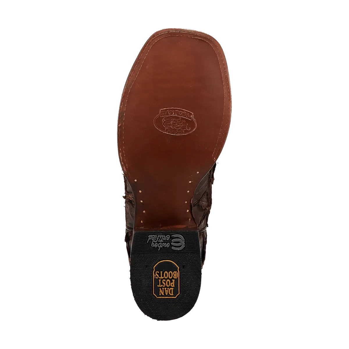 Men's Dan Post Raymond Pirarucu Boot