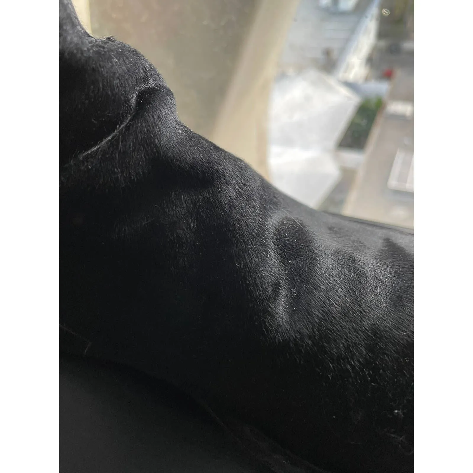 Pony Hair Vitello Boots